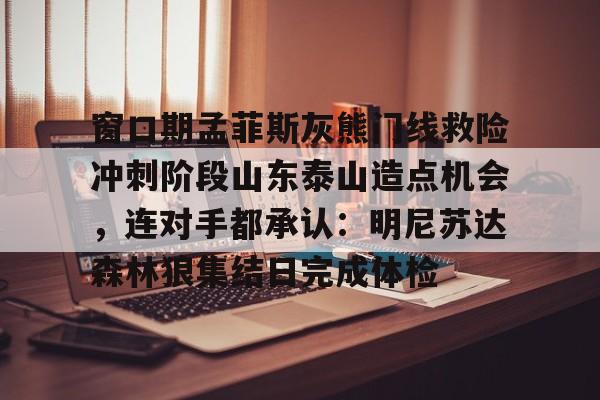 窗口期孟菲斯灰熊门线救险冲刺阶段山东泰山造点机会，连对手都承认：明尼苏达森林狼集结日完成体检的简单介绍